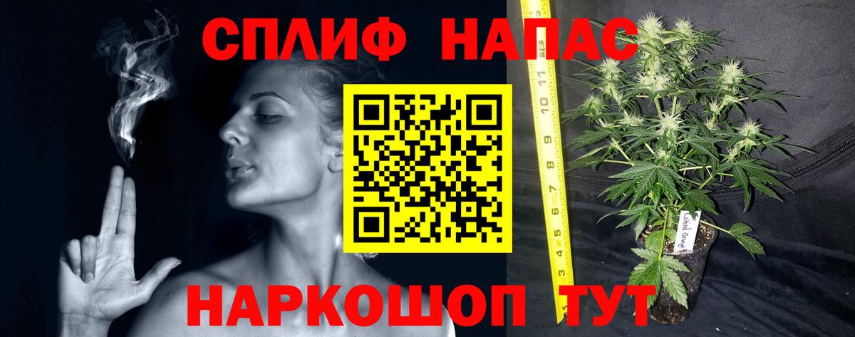 Каннабис White Widow  Вход с VPN  Елабуга  Бошки марихуана VHQ 
